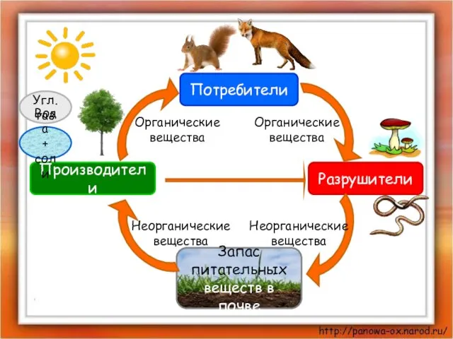 Производители Потребители Разрушители Запас питательных веществ в почве Угл. газ Вода