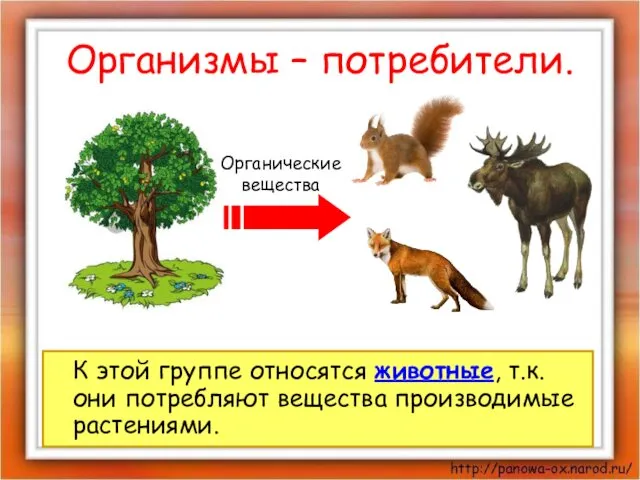 Организмы – потребители. К этой группе относятся животные, т.к. они потребляют вещества производимые растениями. Органические вещества