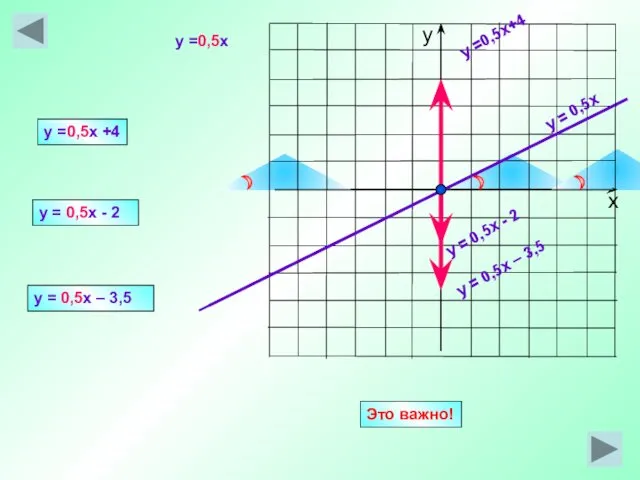 y = 0,5x y =0,5x+4 y = 0,5x - 2 y