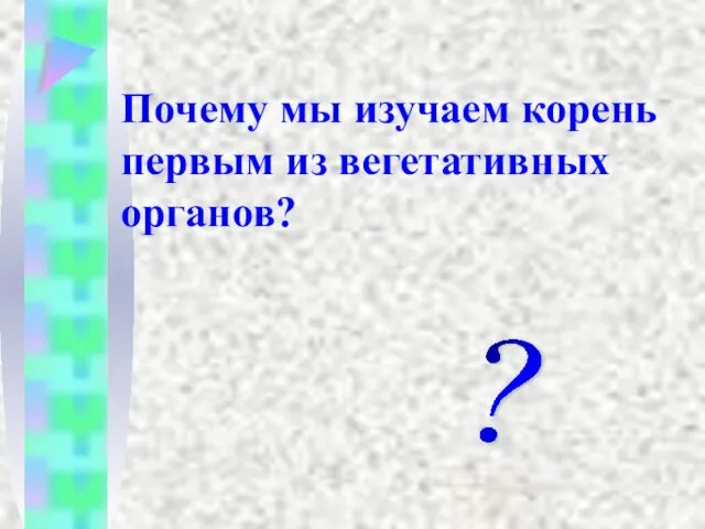 Почему мы изучаем корень первым из вегетативных органов? ?