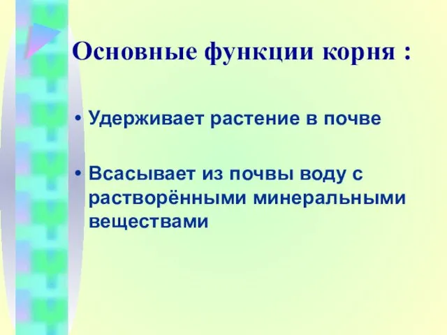 Основные функции корня : Удерживает растение в почве Всасывает из почвы воду с растворёнными минеральными веществами