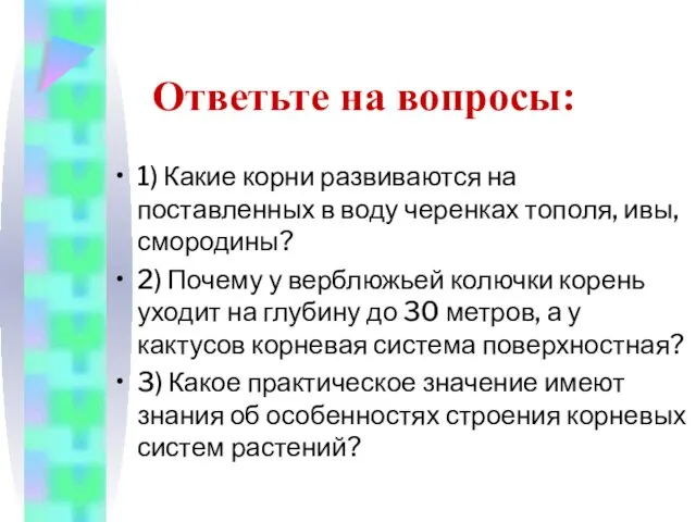 Ответьте на вопросы: 1) Какие корни развиваются на поставленных в воду