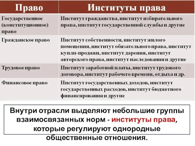 Внутри отрасли выделяют небольшие группы взаимосвязанных норм - институты права, которые регулируют однородные общественные отношения.