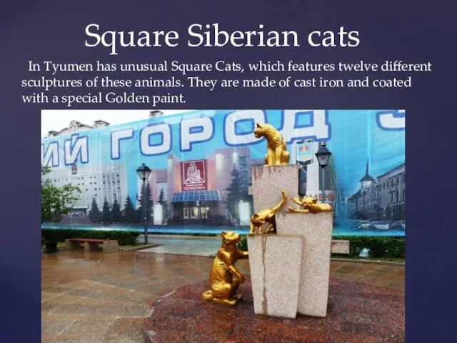 In Tyumen has unusual Square Cats, which features twelve different sculptures