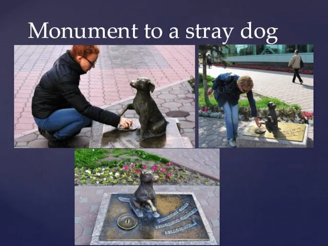 Monument to a stray dog