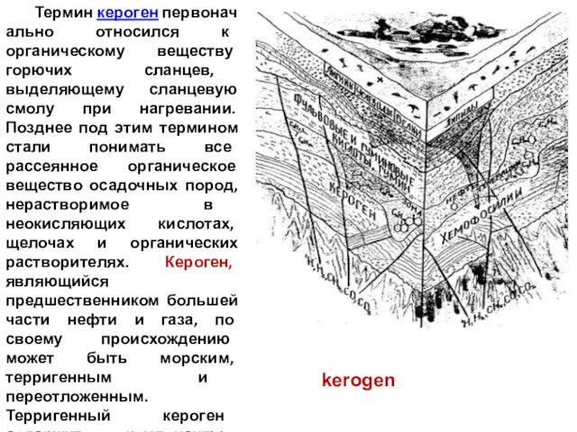 Термин кероген первоначально относился к органическому веществу горючих сланцев, выделяющему сланцевую