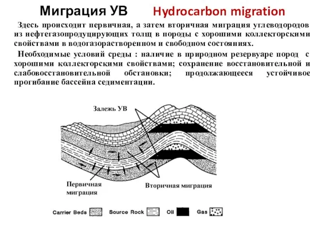 Миграция УВ Hydrocarbon migration Здесь происходит первичная, а затем вторичная миграция