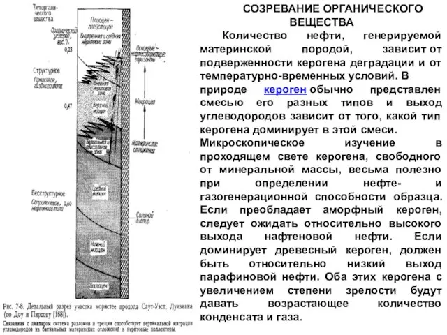 СОЗРЕВАНИЕ ОРГАНИЧЕСКОГО ВЕЩЕСТВА Количество нефти, генерируемой материнской породой, зависит от подверженности