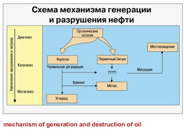 mechanism of generation and destruction of oil