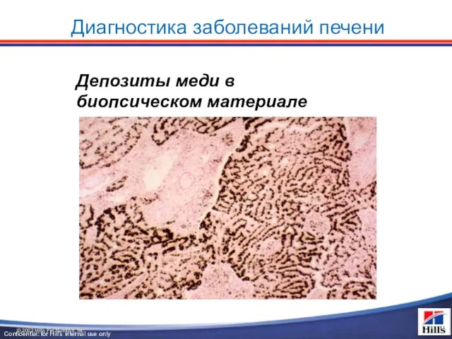 Депозиты меди в биопсическом материале © 2002 Hill’s Pet Nutrition, Inc. Диагностика заболеваний печени