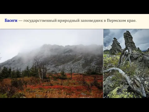 Басеги — государственный природный заповедник в Пермском крае.