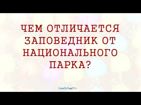 ЧЕМ ОТЛИЧАЕТСЯ ЗАПОВЕДНИК ОТ НАЦИОНАЛЬНОГО ПАРКА?