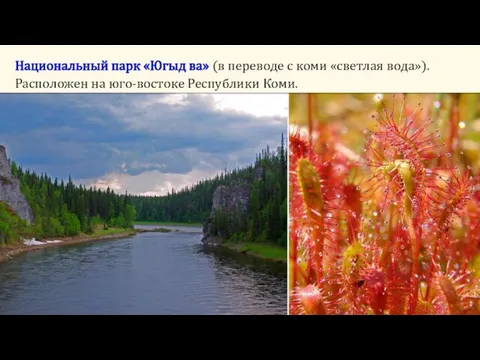 Национальный парк «Югыд ва» (в переводе с коми «светлая вода»). Расположен на юго-востоке Республики Коми.