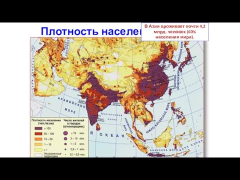 Плотность населения В Азии проживает почти 4,2 млрд. человек (60% населения мира).