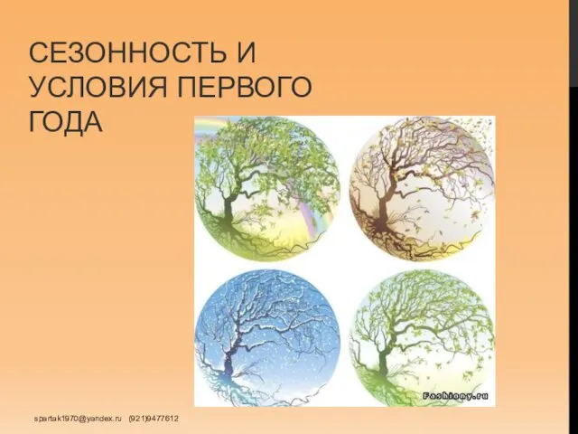 СЕЗОННОСТЬ И УСЛОВИЯ ПЕРВОГО ГОДА spartak1970@yandex.ru (921)9477612