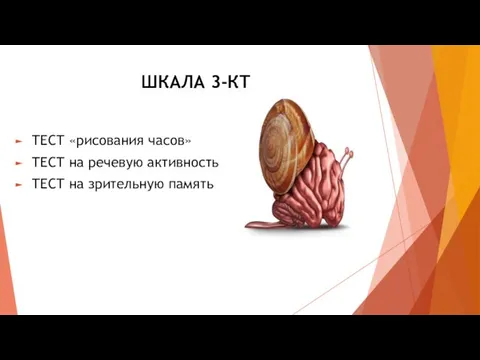 ШКАЛА 3-КТ ТЕСТ «рисования часов» ТЕСТ на речевую активность ТЕСТ на зрительную память