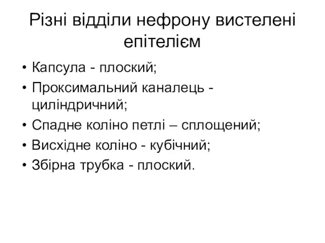 Різні відділи нефрону вистелені епітелієм Капсула - плоский; Проксимальний каналець -