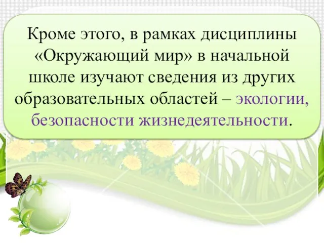 Кроме этого, в рамках дисциплины «Окружающий мир» в начальной школе изучают