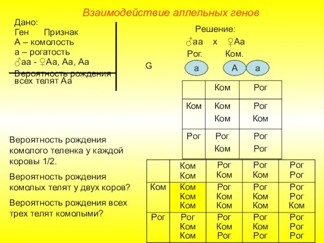 Взаимодействие аллельных генов Дано: Ген Признак А – комолость а –