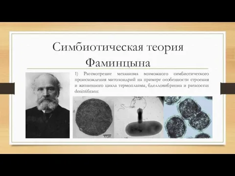 Симбиотическая теория Фаминцына 1) Рассмотрение механизма возможного симбиотического происхождения митохондрий на