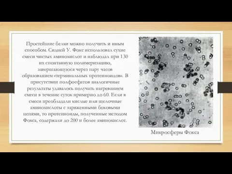 Простейшие белки можно получить и иным способом. Сидней У. Фокс использовал