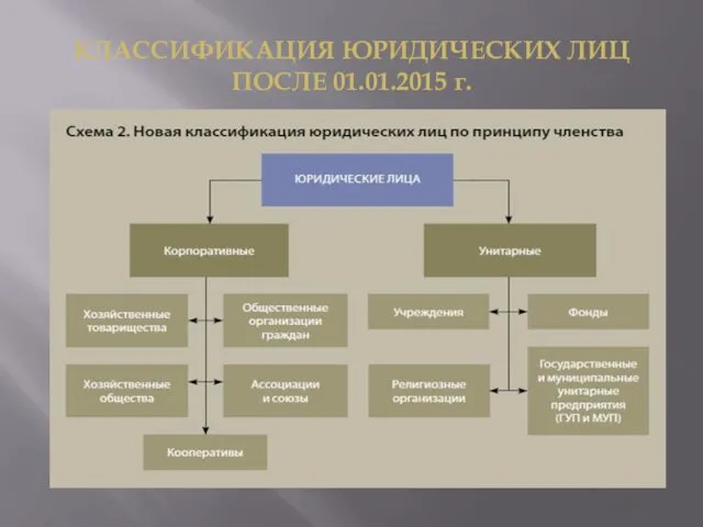 КЛАССИФИКАЦИЯ ЮРИДИЧЕСКИХ ЛИЦ ПОСЛЕ 01.01.2015 г.