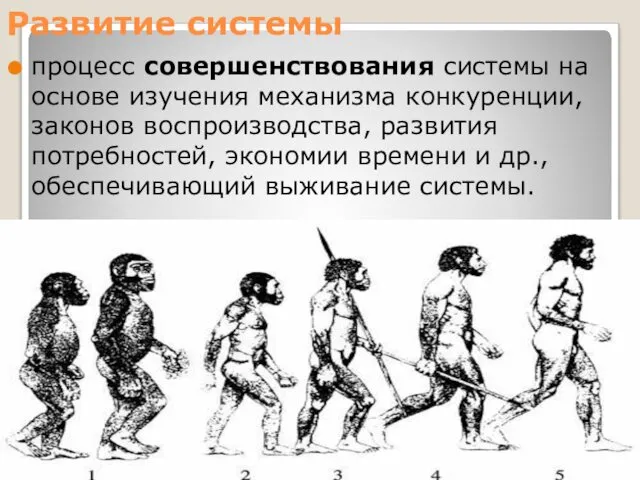 Развитие системы процесс совершенствования системы на основе изучения механизма конкуренции, законов