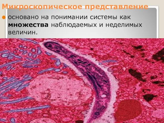 Микроскопическое представление основано на понимании системы как множества наблюдаемых и неделимых величин.