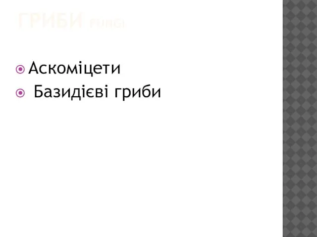 ГРИБИ FUNGI Аскоміцети Базидієві гриби