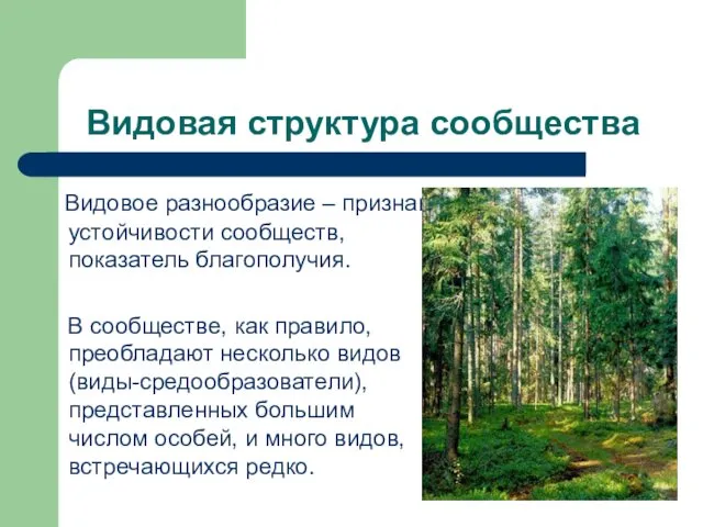 Видовая структура сообщества Видовое разнообразие – признак устойчивости сообществ, показатель благополучия.