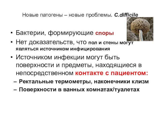 Бактерии, формирующие споры Нет доказательств, что пол и стены могут являться