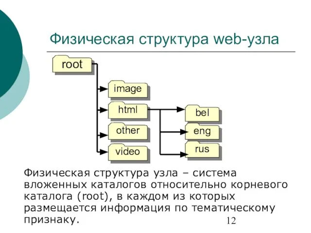 Физическая структура web-узла Физическая структура узла – система вложенных каталогов относительно