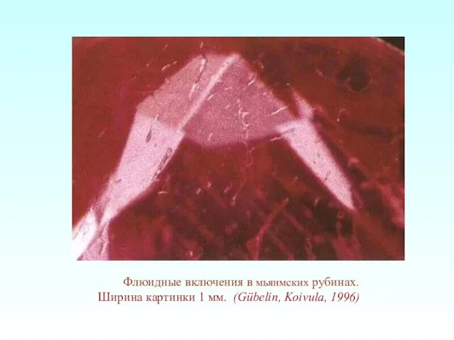 Флюидные включения в мьянмских рубинах. Ширина картинки 1 мм. (Gübelin, Koivula, 1996)