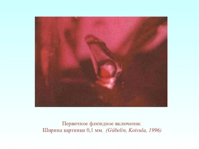 Первичное флюидное включение. Ширина картинки 0,1 мм. (Gübelin, Koivula, 1996)