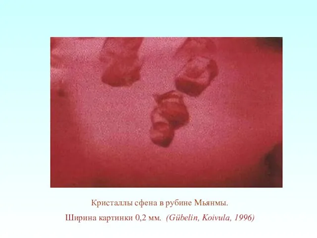 Кристаллы сфена в рубине Мьянмы. Ширина картинки 0,2 мм. (Gübelin, Koivula, 1996)