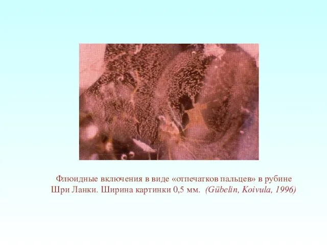 Флюидные включения в виде «отпечатков пальцев» в рубине Шри Ланки. Ширина