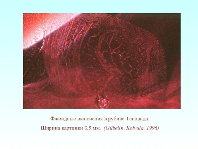 Флюидные включения в рубине Таиланда. Ширина картинки 0,5 мм. (Gübelin, Koivula, 1996)