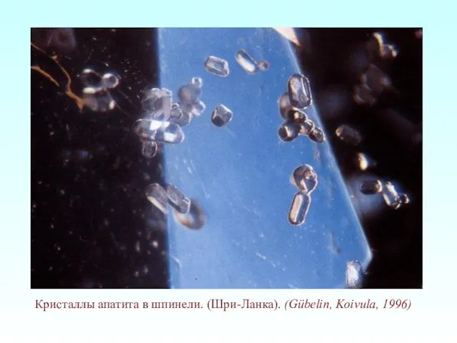 Кристаллы апатита в шпинели. (Шри-Ланка). (Gübelin, Koivula, 1996)