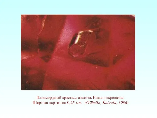 Идиоморфный кристалл апатита. Николи скрещены. Ширина картинки 0,25 мм. (Gübelin, Koivula, 1996)