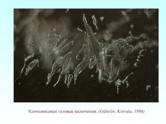 Клочьевидные газовые включения. (Gübelin, Koivula, 1996)