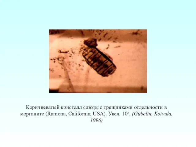 Коричневатый кристалл слюды с трещинками отдельности в морганите (Ramona, California, USA). Увел. 10x. (Gübelin, Koivula, 1996)