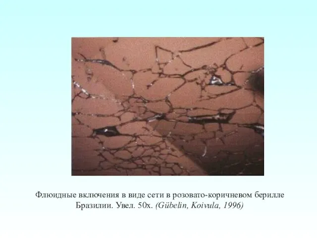 Флюидные включения в виде сети в розовато-коричневом берилле Бразилии. Увел. 50x. (Gübelin, Koivula, 1996)