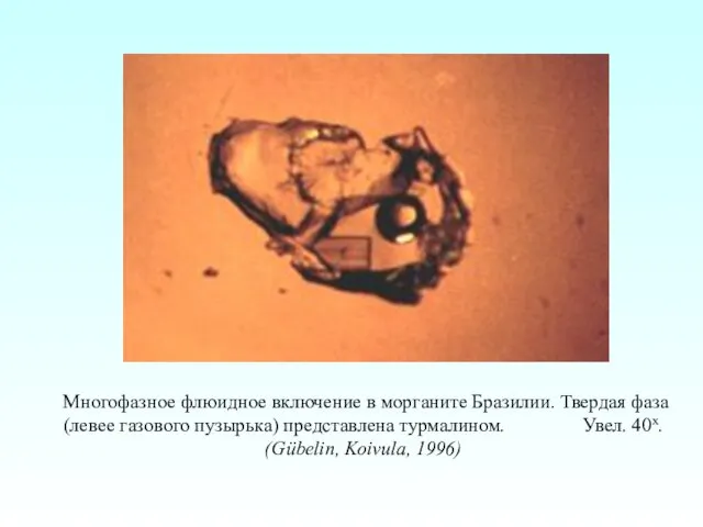 Многофазное флюидное включение в морганите Бразилии. Твердая фаза (левее газового пузырька)