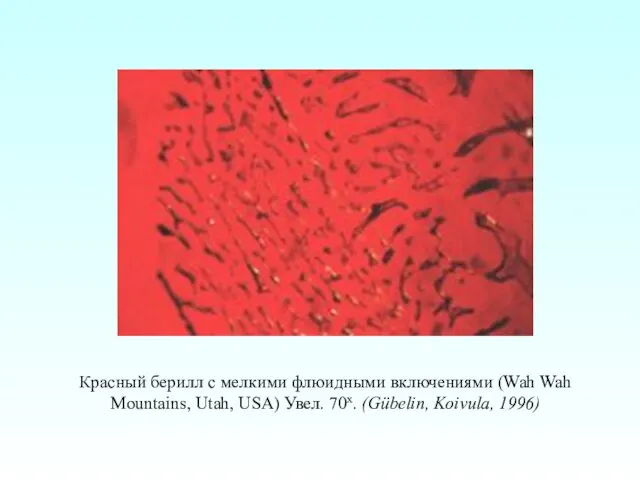 Красный берилл с мелкими флюидными включениями (Wah Wah Mountains, Utah, USA) Увел. 70x. (Gübelin, Koivula, 1996)
