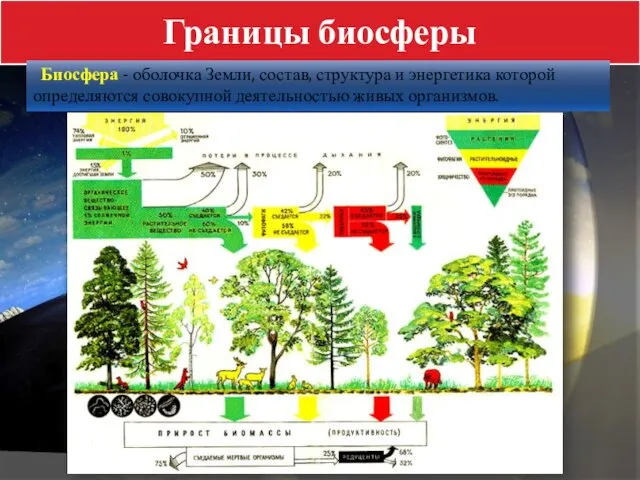 Границы биосферы Биосфера - оболочка Земли, состав, структура и энергетика которой определяются совокупной деятельностью живых организмов.