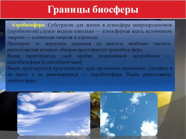 Границы биосферы Аэробиосфера. Субстратом для жизни в атмосфере микроорганизмов (аэробионтов) служат