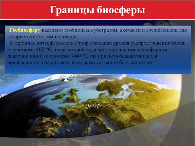 Границы биосферы Геобиосферу населяют геобионты, субстратом, а отчасти и средой жизни