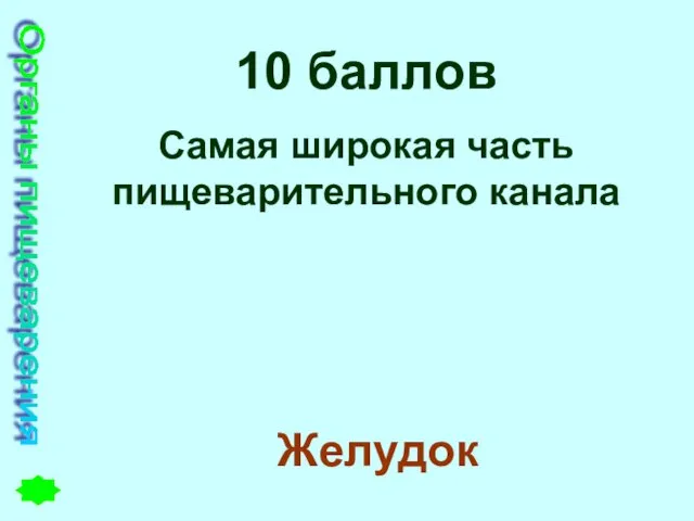 Органы пищеварения 10 баллов Самая широкая часть пищеварительного канала Желудок