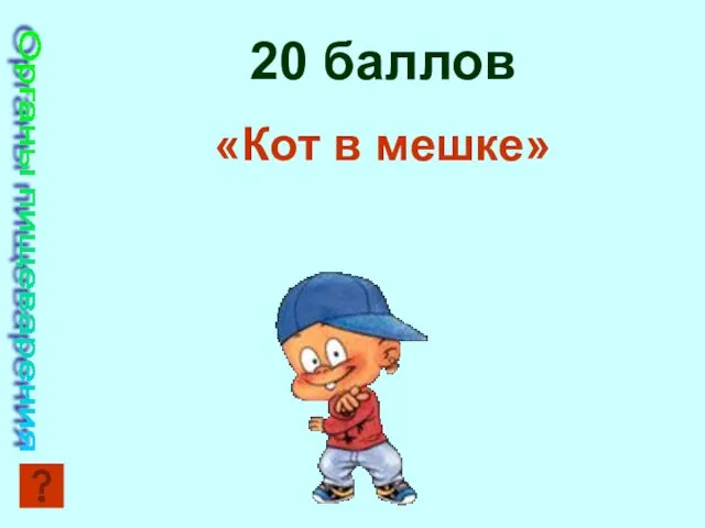 Органы пищеварения 20 баллов «Кот в мешке»