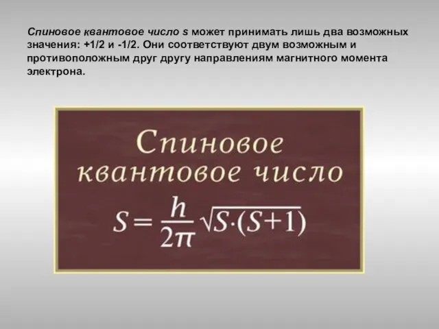 Спиновое квантовое число s может принимать лишь два возможных значения: +1/2